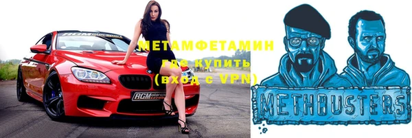 прущие грибы Няндома