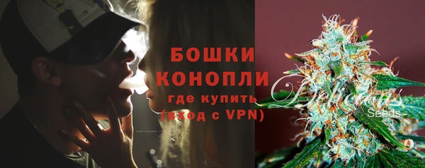 прущие грибы Няндома
