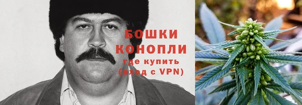прущие грибы Няндома