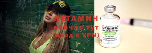 прущие грибы Няндома