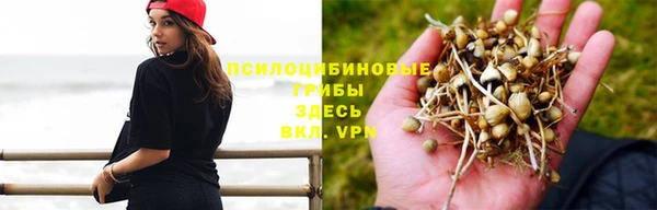 прущая мука Нязепетровск