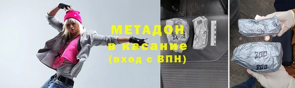прущие грибы Няндома