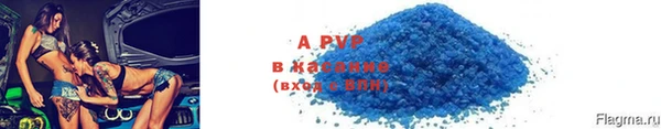 прущие грибы Няндома