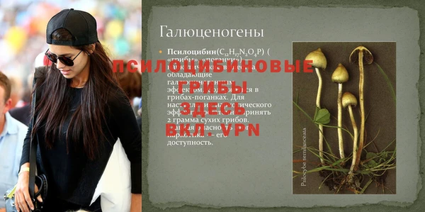 МДПВ Нягань