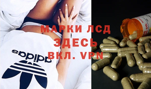 прущие грибы Няндома