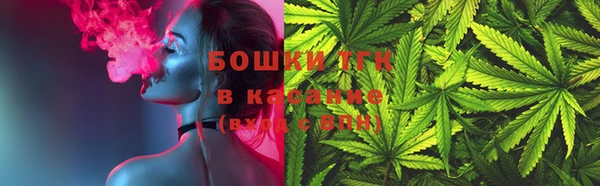 прущие грибы Няндома